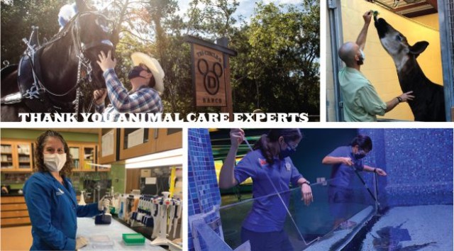 Walt Disney World Celebrates Animal Care Experts and New Series Coming to Disney+