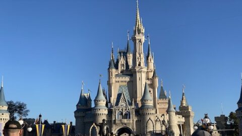 A Fan Favorite Snack Has Returned to the Magic Kingdom!