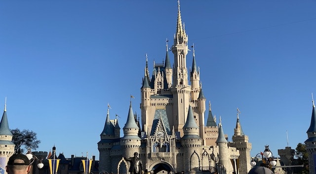 A Fan Favorite Snack Has Returned to the Magic Kingdom!