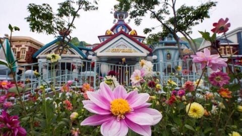 NEWS: Disneyland Now Accepting Reservations