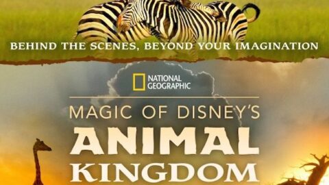 Magic of Disney’s Animal Kingdom Premiering on Disney+
