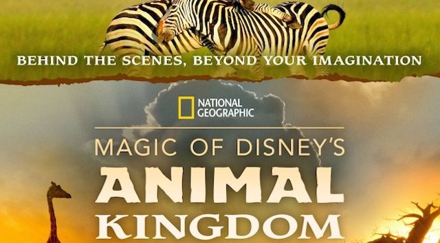 Magic of Disney's Animal Kingdom Premiering on Disney+