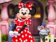 Sneak Peek for the Newest Minnie Mouse the Main Attraction Collection