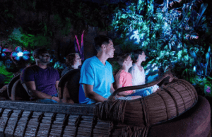 Something is Missing from Na'vi River Journey