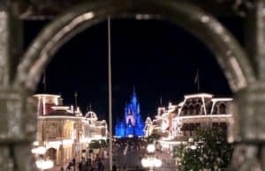 Special Viewing for Resort Guests