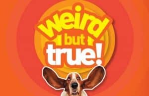 Weird But True! Now on Disney+