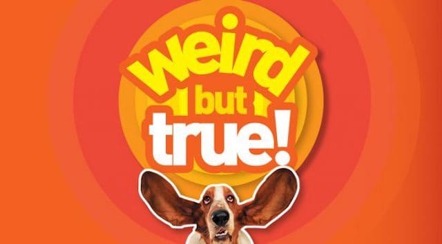 Weird But True! Now on Disney+