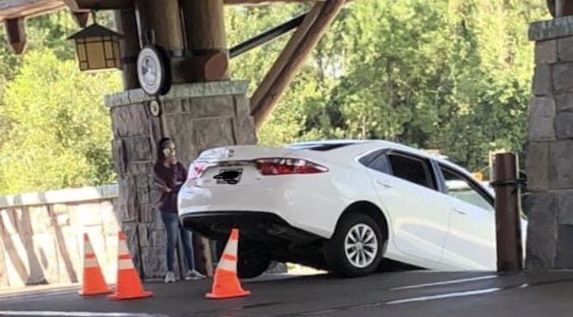 Photos: Guest Drives Car Down Stairs at Walt Disney World