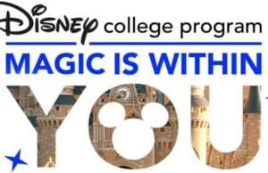 Great News For Disney College Program and Internship Participants