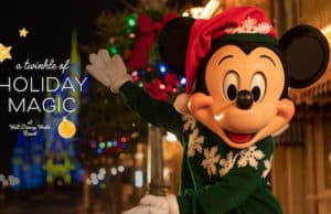 More Details about Christmas at Disney World Announced!