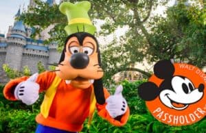 Disney World Begins Selling Annual Passes to Some Guests!