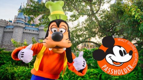 Disney World Begins Selling Annual Passes to Some Guests!