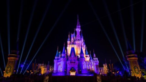 Cinderella Castle was Lit Up for a Special Occasion