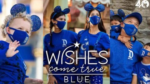 New Disney Collection That Truly Makes Wishes Come True