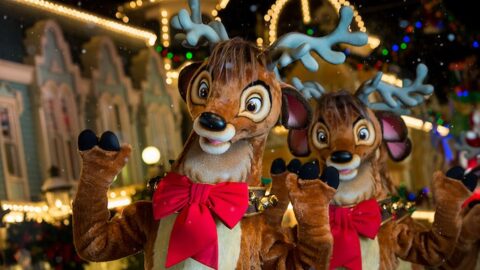 Disney World Park Hours for Week Between Christmas and New Year!
