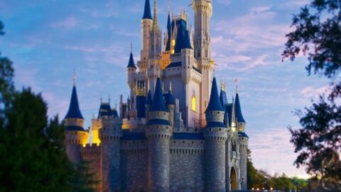 Guest Caught with Weapons and Ammunition at a Disney World Resort