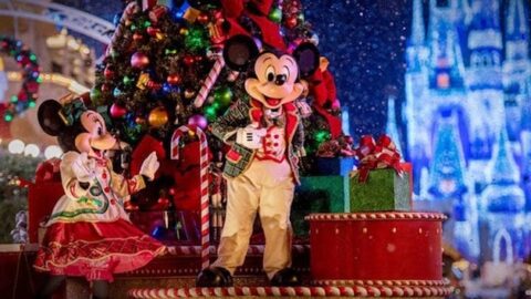 Check out this Major Disney Theme Park Hours Update for the Week of Christmas and New Year!