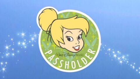 Disney Asks for Additional Information from Certain Annual Passholders