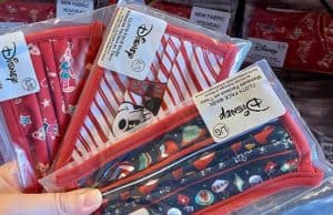 New Price Increase on Disney Face Masks at Walt Disney World