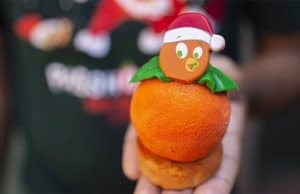 2020 Magic Kingdom Holiday Foodie Guide is here!
