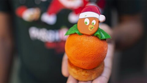 2020 Magic Kingdom Holiday Foodie Guide is here!