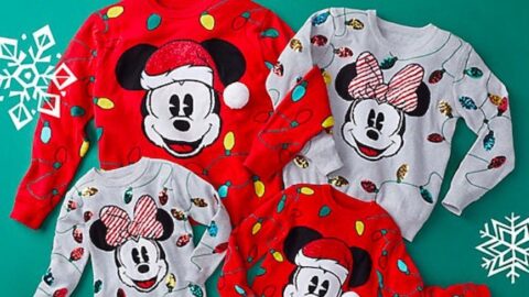 Great New Discount for Disney Fans Just in Time For Holiday Shopping