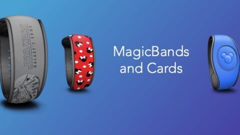 New MagicBands Will Make Your Next Disney Trip Even More Magical