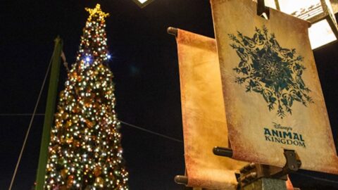 Complete Guide to Touring Animal Kingdom during the Holidays
