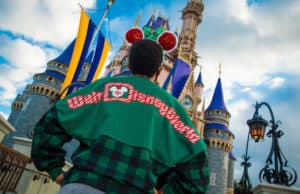 What's Happening at Disney World in November 2020