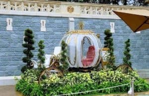 The Cinderella Carriage is Back at Magic Kingdom for a Limited Time!