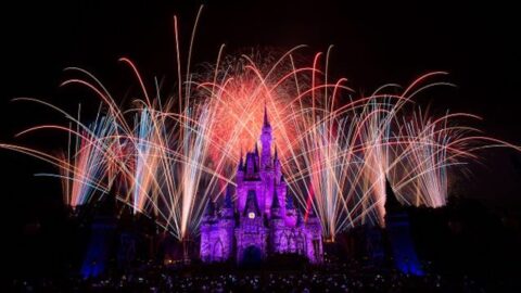 When Will Disney Share the 50th Anniversary Celebrations?