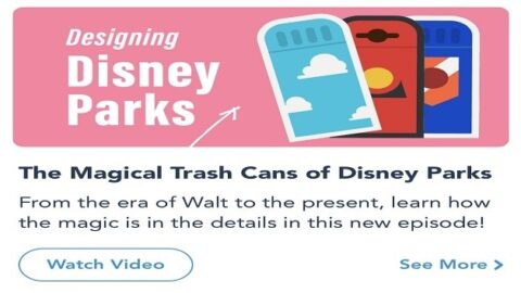 New Story On The Importance Of Disney Trash Cans And Its Artistic Details