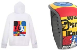 New 2021 Dated Merchandise Dropped Today on shopDisney