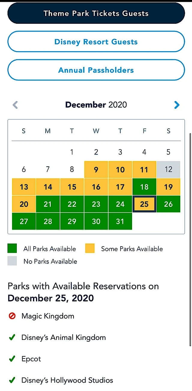 Dec theme park guests pass