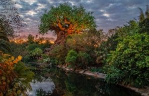 Social distancing policy relaxed for another popular Disney World attraction