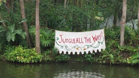 Another accident on the Jungle Cruise!