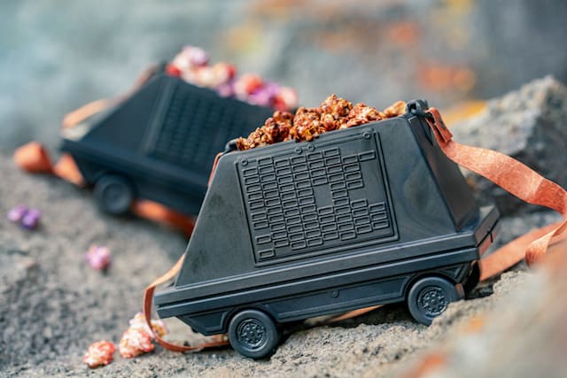 souvenir popcorn bucket