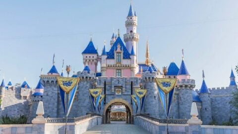 Could Disneyland Restaurants Reopen Now?