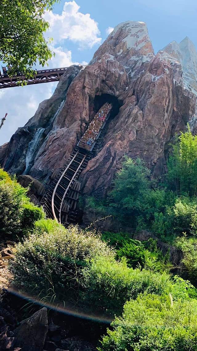 The Yeti at Animal Kingdom's Expedition Everest attraction FINALLY GETS  FIXED!