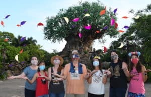 New Requirements for Both Domestic and International Travel: How will this affect your upcoming Disney trip?