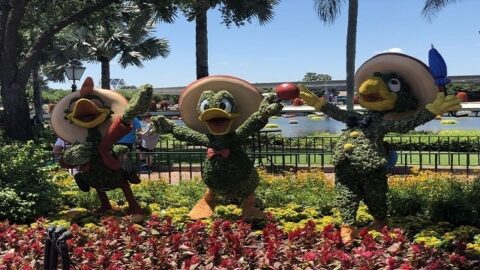 New List of Gardens and Topiaries Coming to 2021 EPCOT Flower and Garden Festival