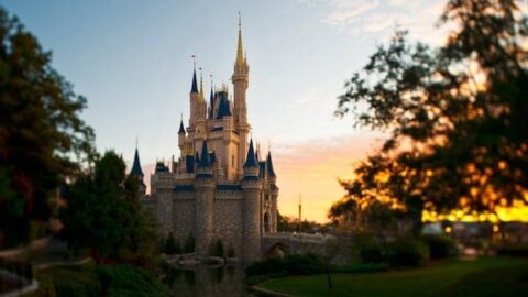 Less Than Magical Entrance of the Magic Kingdom