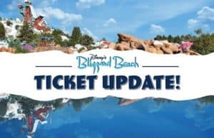 New Ticket Sales and Mask Requirements for Blizzard Beach