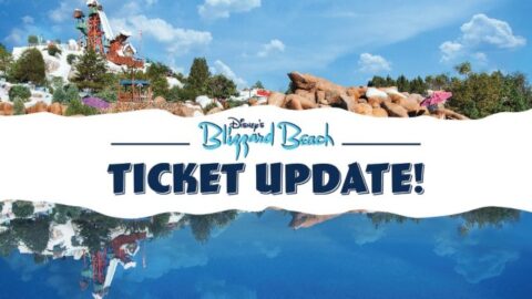 New Ticket Sales and Mask Requirements for Blizzard Beach
