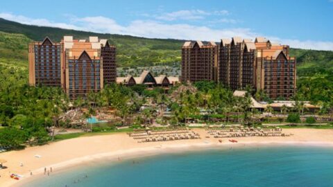 Meet a New Disney Pal at Aulani a Disney Resort and Spa