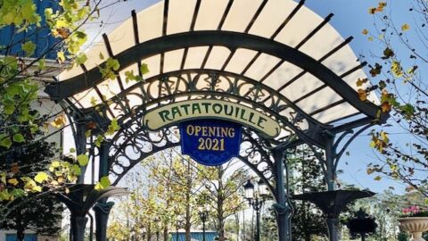The France Pavilion Expansion is Now Open!