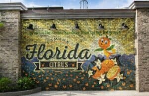 New Food Offerings Are Heading to Walt Disney World
