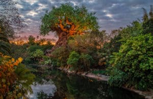 This Animal Kingdom attraction will be closing for refurbishment in March