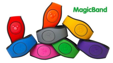 This MagicBand Feature Is Now Available to All Guests!