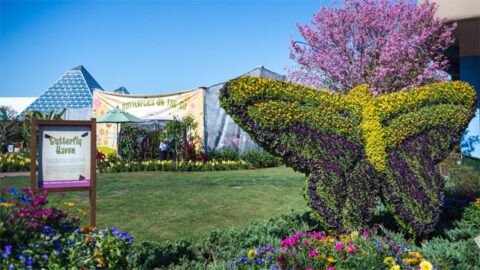 Live entertainment is returning for EPCOT’s Flower and Garden Festival!